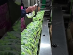 Uniconcern couches pour bébés souples